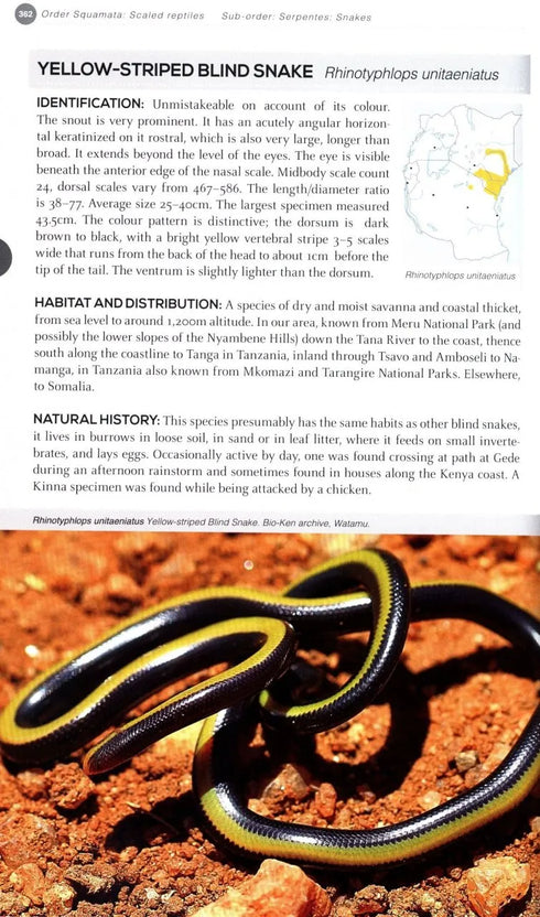 Field Guide to East African Reptiles - Steve Spawls 2018
